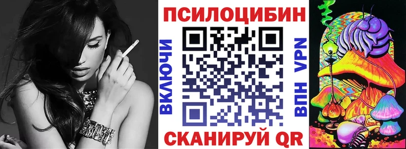 Галлюциногенные грибы Psilocybe  Усть-Кут 